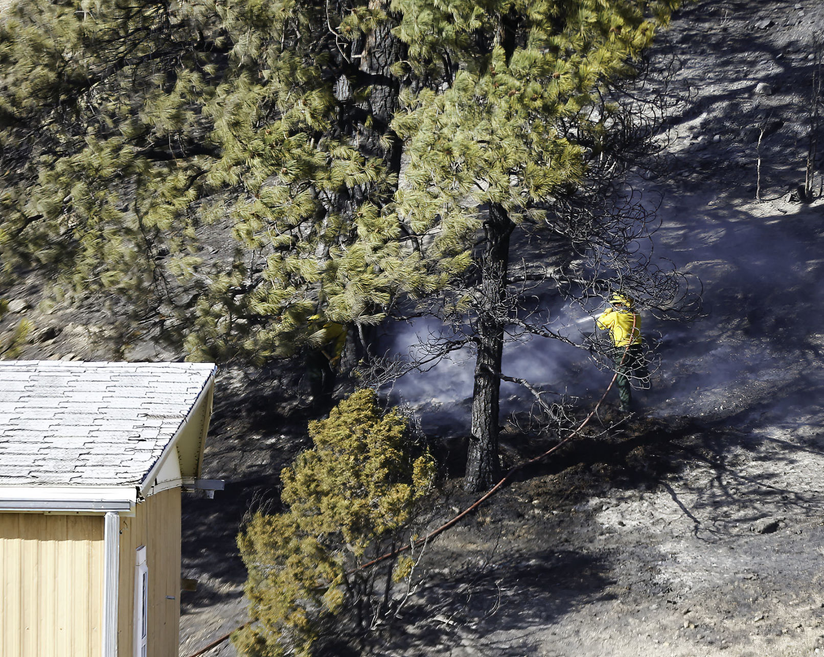 Birdseye Fire